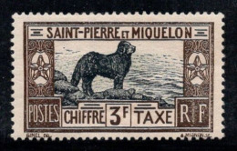 Saint-Pierre-et-Miquelon 1932 Yv. 31 Neuf * MH 100% Timbre-taxe Chien, 3 F - Portomarken