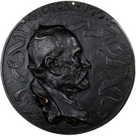 France, Médaille, Victor Hugo, 1884, Bronze, Ringel D'Illzach, Fonte Uniface - Otros & Sin Clasificación