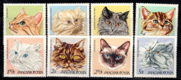 Hongrie 1968 Mi. 2387-94 A Neuf ** 100% Chats Domestiques, 20 F, 60 F, 1 Pi... - Unused Stamps