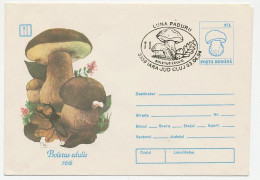 Postal Stationery Romania 1994 Mushroom - Funghi