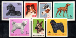 Hongrie 1967 Mi. 2337-43 B Neuf ** 100% Chiens, 30 F, 60 F... - Unused Stamps