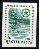 Hongrie 1964 Mi. 2042 B Neuf ** 100% 1 Ft, Chutes D'eau,Statut De La Forêt - Unused Stamps