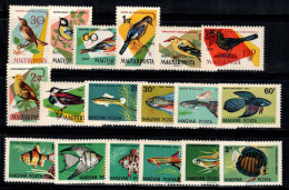 Hongrie 1961-62 Neuf ** 80% Poissons D'ornement, Oiseaux Chanteurs - Ongebruikt