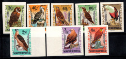 Hongrie 1962 Mi. 1881-88 B Neuf ** 40% Poste Aérienne Musée De L'agriculture, Oiseaux De Proie - Ongebruikt