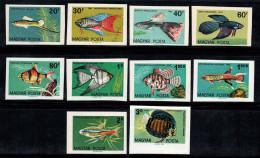 Hongrie 1962 Mi. 1820-29 B Neuf ** 80% Poissons D'ornement - Unused Stamps