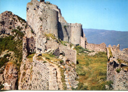 CPSM - PEYREPERTUSE - CHATEAU - VUE GENERALE COTES SUD-EST - Otros & Sin Clasificación