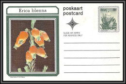 11213 Erica Blenna Fleur Flowers Flower Fleurs Neuf Tb Entier Stationery Carte Postale Rsa South Africa  - Brieven En Documenten