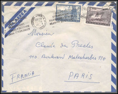 11964 VIA AEREA BUENOS AIRES PARIS Lettre Cover Argentine Argentina  - Lettres & Documents