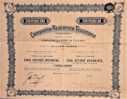 Compania Azucarera Tucumana - Titel Aan Toonder - 5 Gewone Aandelen (1936) - Buenos Aires - Agricoltura