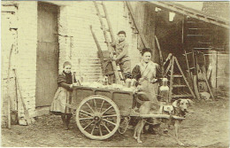 Laitière Flamande. Attelage Canin. - Vendedores Ambulantes