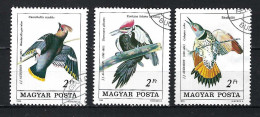 HONGRIE Ca.1985: Lot  D' Obl. "OISEAUX" - Specht- & Bartvögel