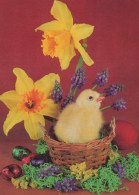 OSTERN HUHN EI Vintage Ansichtskarte Postkarte CPSM #PBP174.DE - Easter