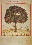 ALBERO Vintage Cartolina CPSM #PBZ991.IT - Bäume