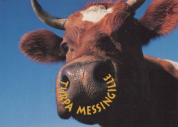 MUCCA Animale Vintage Cartolina CPSM #PBR812.IT - Vacas