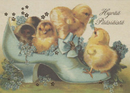 PASQUA POLLO UOVO Vintage Cartolina CPSM #PBO924.IT - Pâques