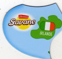Magnets Magnet Savane Brossard Europe Irlande - Tourismus