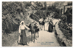 CPA LES PYRENEES Marchande De Bois Beau Plan - Aquitaine