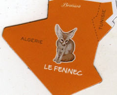 Magnets Magnet Afrique Brossard Algerie Le Fennec - Tourisme