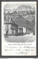 Suisse. Aussere Bahnhofstrasse Wallenstadt (8079) - Walenstadt