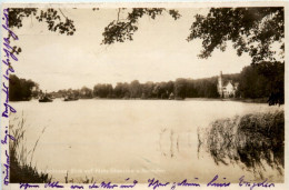 Grienitzsee, Blick Auf Klein-Glienicke - Potsdam