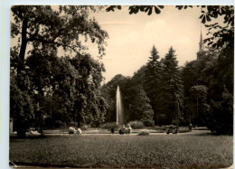 Freiberg/Sa. Scheringer Park - Freiberg (Sachsen)