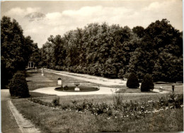 Neustrelitz, Im Stadtpark - Neustrelitz