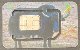 Bhoutan Bhutan Cell Telecom USIM Operator 2G 3G 4G 5G Prepaid SIM Local People Dummy Card Large Nano Standard Yak Animal - Bután