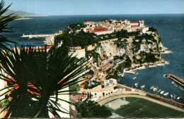 CPSM -  MONACO - LE STADE, LE CENTRE ZOOLOGIQUE ET LE ROCHER - Panoramische Zichten, Meerdere Zichten