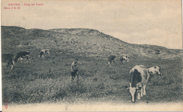 KNOKKE   DANS LES DUNES   A.SUGG  2 / 25                           ZIE AFBEELDINGEN - Knokke