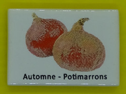 Fève - Légumes Et Fruits De Saison - Automne Potimarron  - Légume - Autres & Non Classés