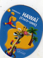 Magnets Magnet Brossard Savane Continent Amerique Hawai - Turismo