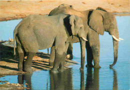 Animaux - Eléphants - Afrique Du Sud - South Africa - CPM - Voir Scans Recto-Verso - Elefanten