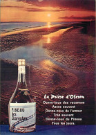 Vignes - Ile D'Oléron - Bouteille De Vin - Pineau Des Charentes - Prière D'Oléron - CPM - Voir Scans Recto-Verso - Weinberge