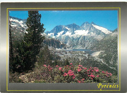 65 - Hautes Pyrénées - Lac De Cap De Long - Barrage De Cap De Long - Fleurs - CPM - Voir Scans Recto-Verso - Altri & Non Classificati