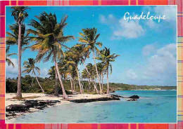 Guadeloupe - Sainte Anne - Plage De Bois Jolan - CPM - Voir Scans Recto-Verso - Other & Unclassified