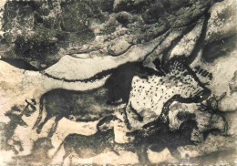 24 - Montignac Sur Vézère - Grotte Préhistorique De Lascaux - Art Peinture Préhistorique - Préhistoire - Mention Photogr - Montignac-sur-Vézère