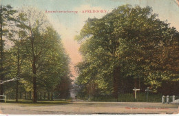 Apeldoorn Amersfoortscheweg # 1920        4375 - Apeldoorn