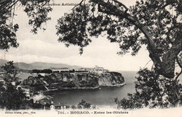 RECTO/VERSO - CPA - MONACO - ENTRE LES OLIVIERS - Mehransichten, Panoramakarten