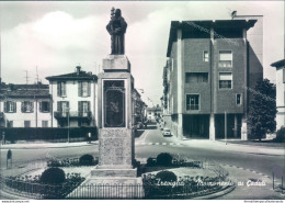 L334 Cartolina Treviglio  Monumento Ai Caduti Provincia Di Bergamo - Bergamo