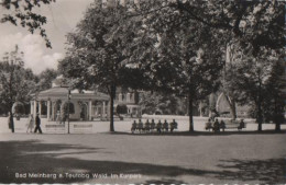 9827 - Bad Meinberg - Kurpark - Ca. 1955 - Bad Meinberg