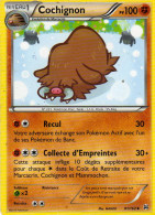 Carte Pokemon 81/162 Cochignon 100pv 2015 - Otros & Sin Clasificación