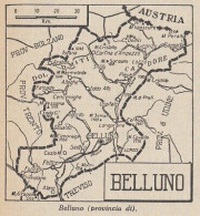 Provincia Di Belluno - 1953 Mappa Epoca - Vintage Map - Carte Geographique