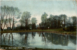 Hampstead - Leg Of Mutton Pond To Penang - London Suburbs