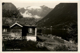 Esefjord - Balholm - Norway