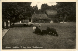 Skansen - Stockholm - Schweden