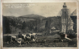 Bauern In Tarujfalu Karpaten - Ungheria