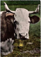 LA VACHE , La Cloche Et Les Mouches. -  En Montagne.   1961. - Vaches