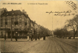 Bruxelles - Ixelles - L Avenue De L Hippodrome - Ixelles - Elsene