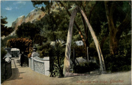 Gibraltar - Whale Jaws Arch Bridge - Gibraltar