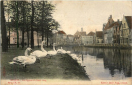 Bruges - Les Cygnes Du Quai Long - Brugge